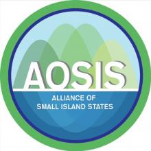AOSIS Fellowship Programme