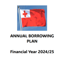 Annual Borrowing Plan